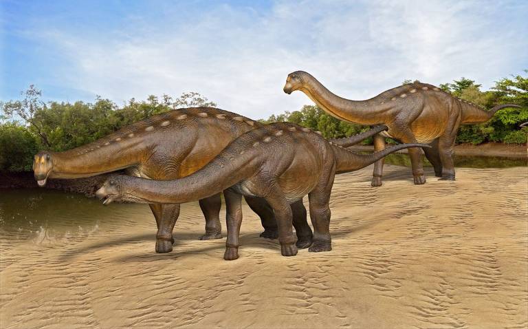 Ilustração mostra três dinossauros pescoçudos caminhando lado a lado em terra batida
