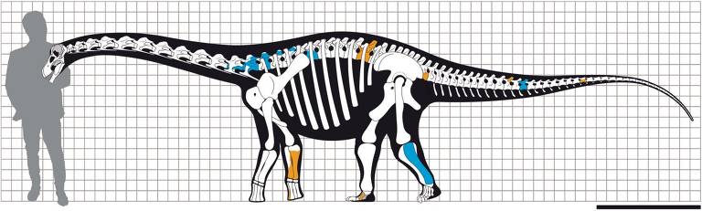 Crânio de T. Rex é leiloado por US$ 6,1 milhões - 11/12/2022