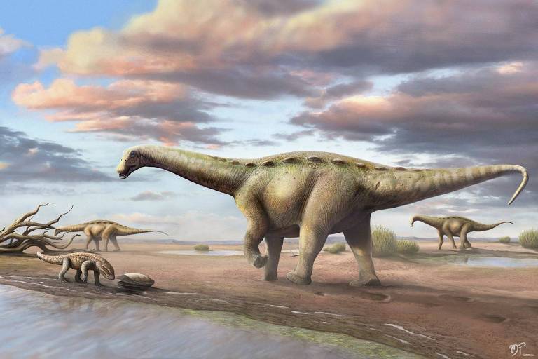Dinossauro pescoçudo 'anão' é encontrado no interior de São Paulo