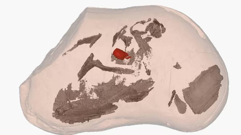 Imagem em 3D gerada em scanner mostrando interior do fóssil do peixe Gogo. Na imagem, várias manchas marrons espalhadas e uma pequena mancha vermelha próxima ao centro.
