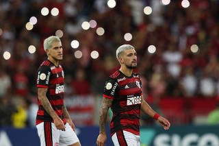 Brasileiro Championship - Flamengo v Goias