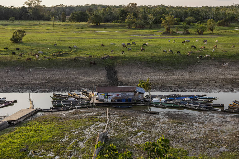 Casas flutuantes em um braço quase seco do rio Solimões em frente à cidade de Fonte Boa