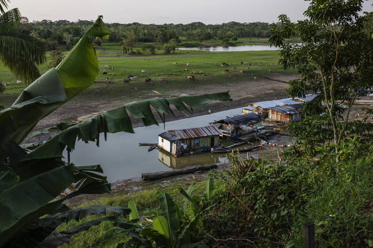 Casas flutuantes em um braço quase seco do rio Solimões em frente à cidade de Fonte Boa