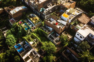 Vegetação toma conta de rua no bairro Pinheiro, em Maceió (AL)