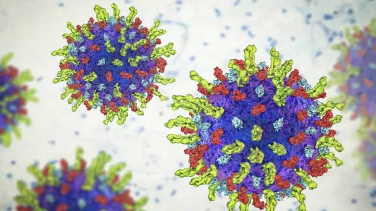 Ilustração em 3D de vários vírus agrupados. Eles são representados por bolinhas azuis, rodeadas de pequenas membranas verdes, azuis e vermelhas.