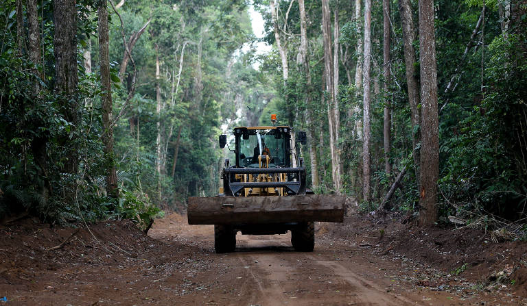 Exploração de madeira nas proximidades da comunidade de Cachoeira do Aruã (PA)