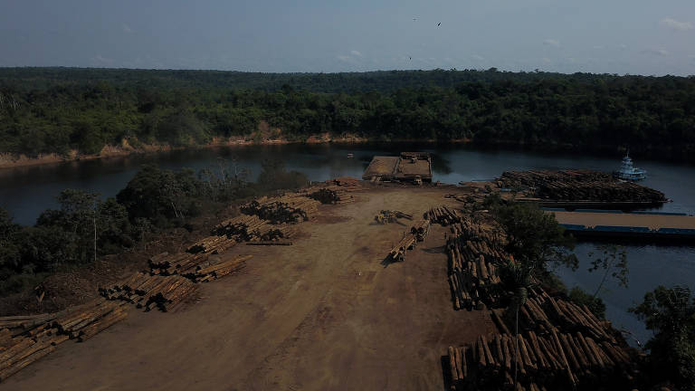 Em novo livro, Míriam Leitão explica a trama econômica que destrói a  Amazônia e mostra quais são as saídas possíveis