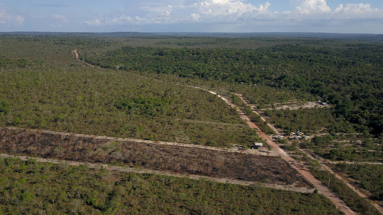 Área no Pará alvo de grilagem de terra e desmatamento de mata