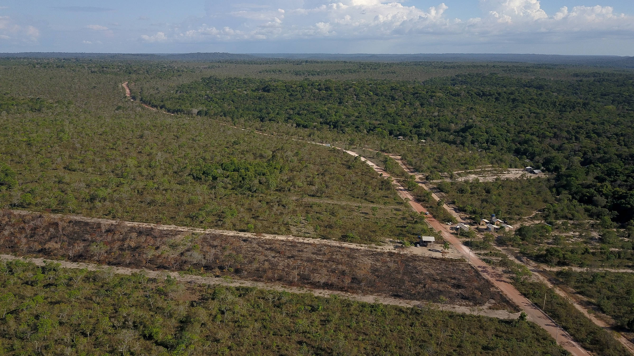 Deforestation falls in the Cerrado and Amazon in January – 02/09/2024 – Environment