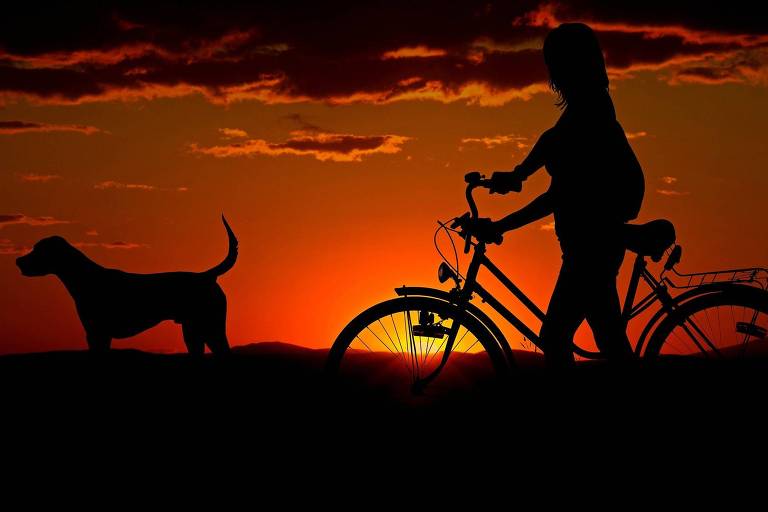 Imagem da silhueta de uma mulher na bicicleta e um cachorro contra a luz do sol