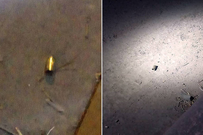 Capsula de bala deflagrada no chao. Deputado petista relata tiros contra carro de som de campanha em MG