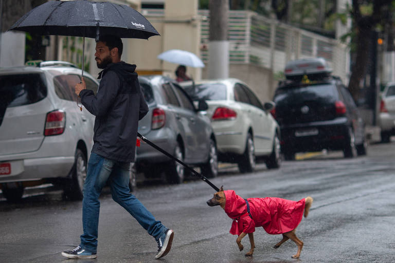 Homem segura guarda-chuva e leva cão em coleira; o animal usa uma capa de chuva vermelha