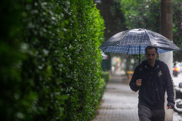 Homem caminha debaixo de guarda chuva pela calçada, ao lado de muro coberto de plantas.