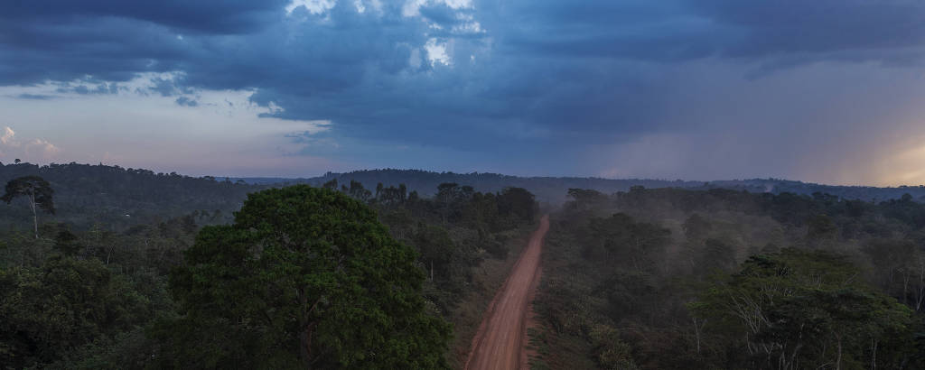 Transamazônica: 50 anos entre ufanismo e desastre ambiental – DW –  27/09/2022