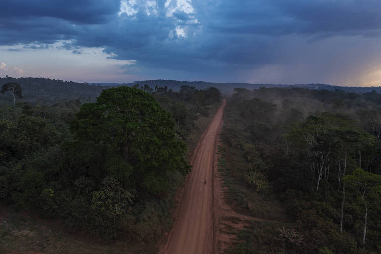 Vista aerea di una strada sterrata in mezzo a una zona di vegetazione