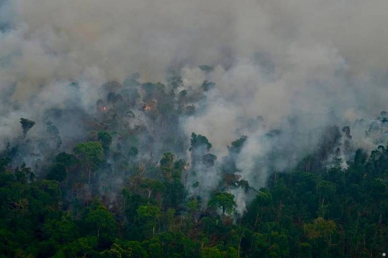 Chamas consomem a floresta dentro da Área de Proteção Ambiental (APA) do Tapajós