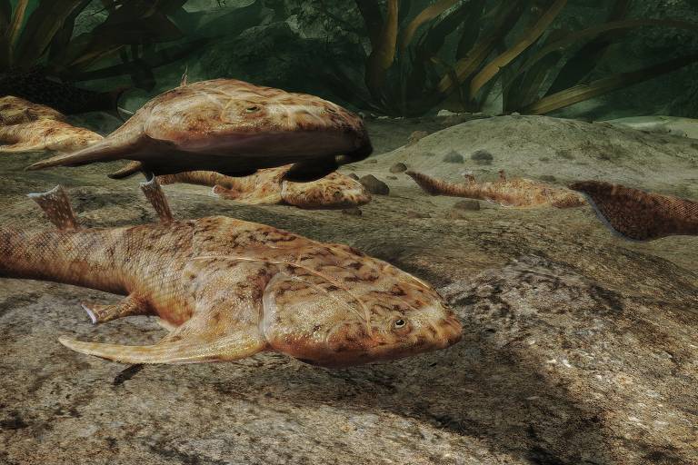 Ilustração computadorizada feita pelo Instituto de Paleontologia de Vertebrados e Paleoantropologia da China mostra o peixe Xiushanosteus mirabilis, que viveu há 436 milhões de anos no sul da China