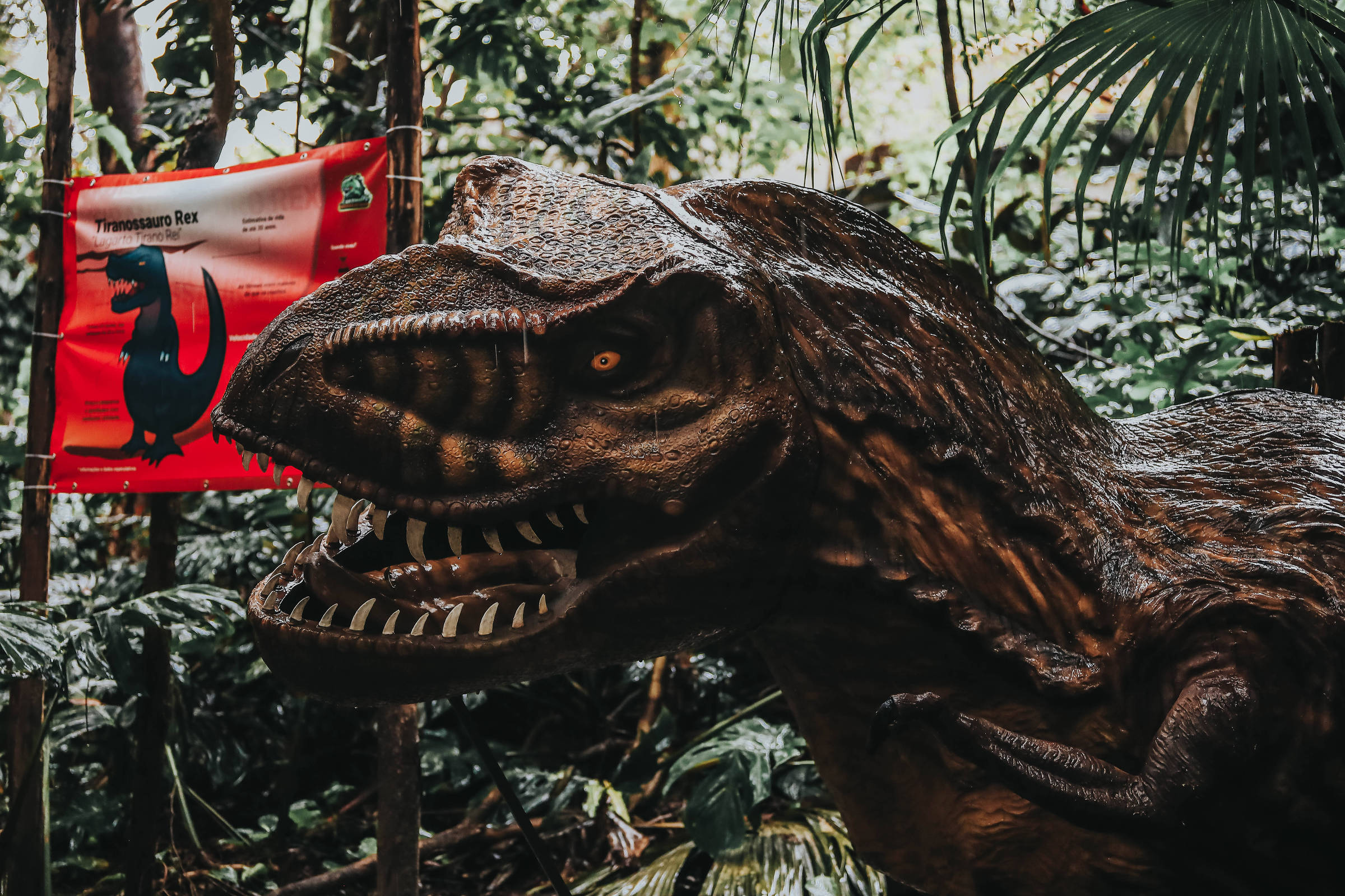 Era dos Dinossauros: jogo educativo