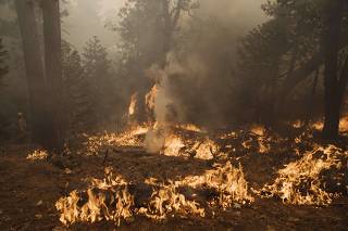 The Mosquito Fire Burns In The Sierra Nevada Mountains Forcing Thousands To Evacuate