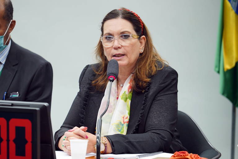 Bia Kicis, do PL, de DF