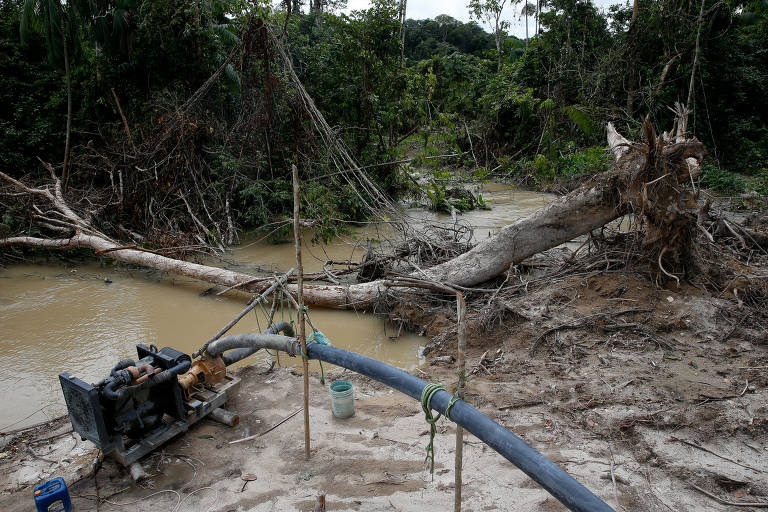 Garimpo ilegal no Pará. Segundo a Procuradoria, atos ordinários de um processo sobre infrações ambientais, relacionados à movimentação dos autos, devem interromper a prescrição