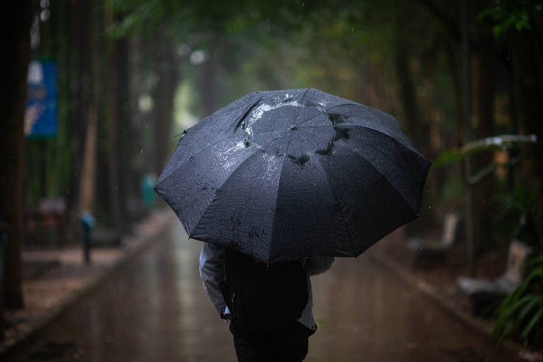 Uma pessoa caminha num parque debaixo de um guarda-chuva. O objeto cobre o rosto dela.