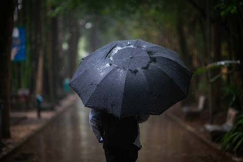 SÃO PAULO, SP, 26.09.2022 - Homem caminha durante chuva no parque da Água Branca, em Perdizes, na zona oeste de São Paulo. (Foto: Danilo Verpa/Folhapress)