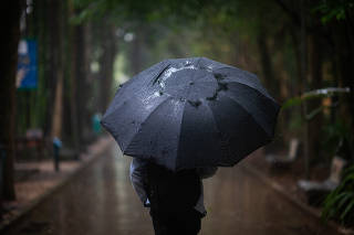 Homem caminha durante chuva no parque da Água Branca