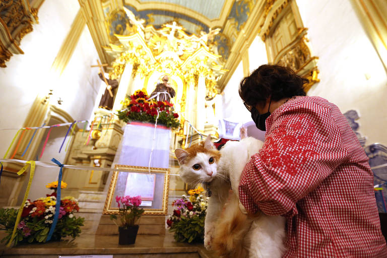Tutores levam pets para bênçãos e missas no Dia de São Francisco