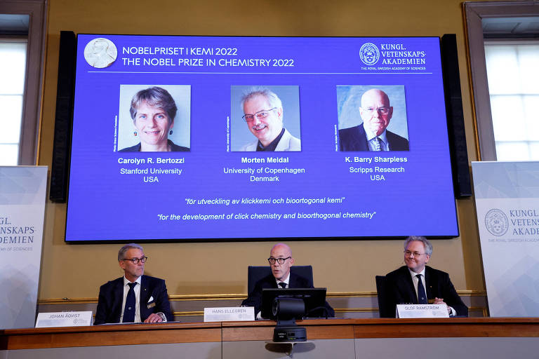 Nobel de Química de 2022 vai para construção de moléculas com um 'click'