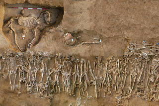 A mass grave of troops from the second Battle of Himera in Sicily in 409 B.C. One-fourth of the combatants are thought to have been mercenaries, compared to two-thirds in the first Battle of Himera seven decades earlier. (Stefano Vassallo via The New York Times)