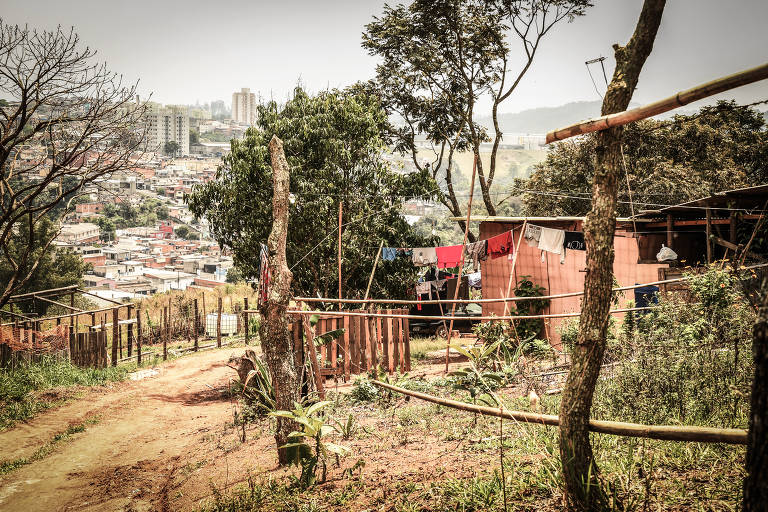 Produtores de cooperativa plantam hortaliças e frutas em São Paulo, na região de Perus, divisa com Cajamar e Santana de Parnaíba