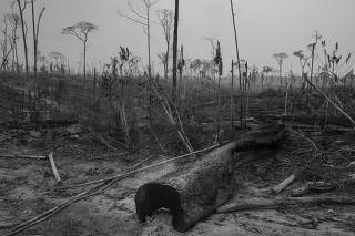 Desmatamento na floresta amazônica, no município de Apuí, Amazonas