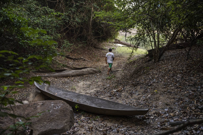 O ribeirinho Andrelino do Nascimento caminha por um igarapé seco próximo ao rio Xingu, no lote onde foi reassentado na região da Volta Grande