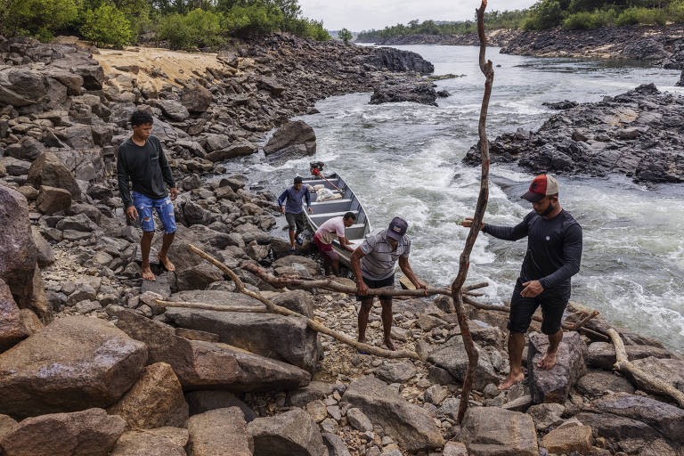 Pescadores preparam um corredor com galhos de árvores para arrastar  canoa em um trecho seco do rio Xingu em direção a uma área de pesca em Altamira