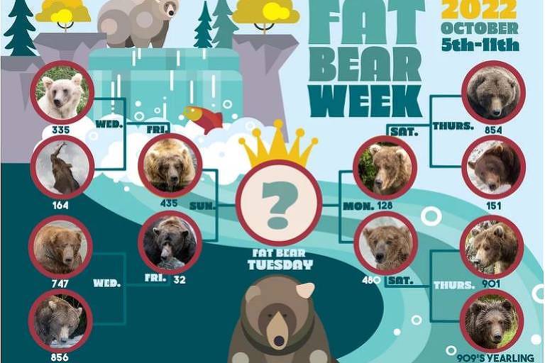 Concorrentes do Fat Bear Week 2022