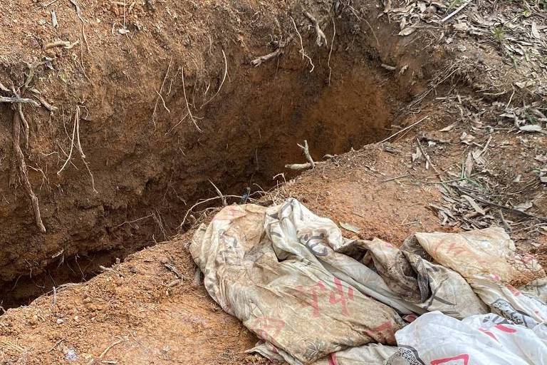 Cinco corpos foram encontrados dentro de valas clandestinas em mata de Embu das Artes