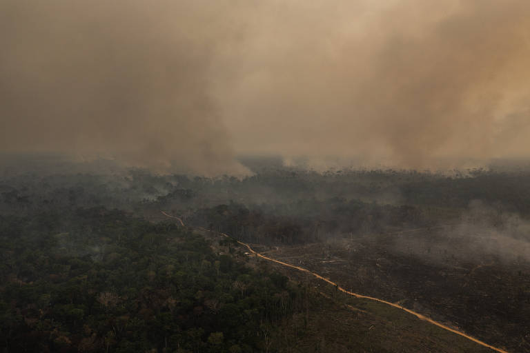 Foto aérea mostra área com muita fumaça e, ao fundo, floresta remanescente nas laterais. 