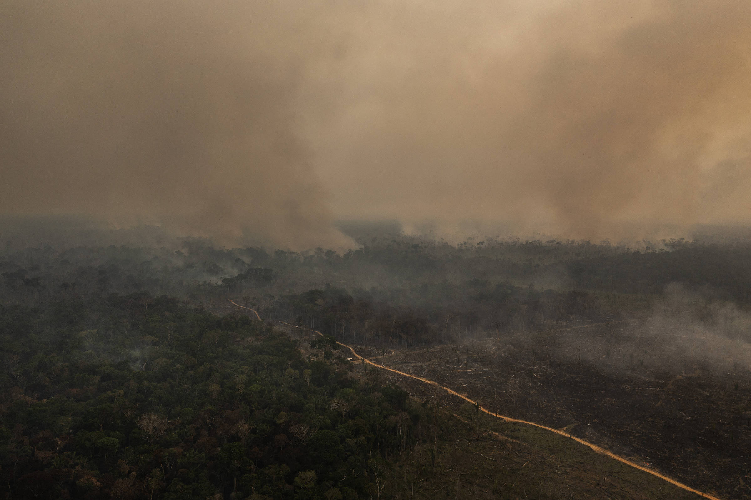 El Niño pode potencializar fogo na Amazônia, alertam cientistas - Amazônia  Real