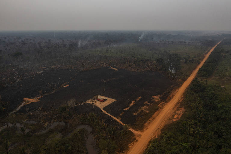 Área queimada às margens da Transamazônica na altura de Lábrea