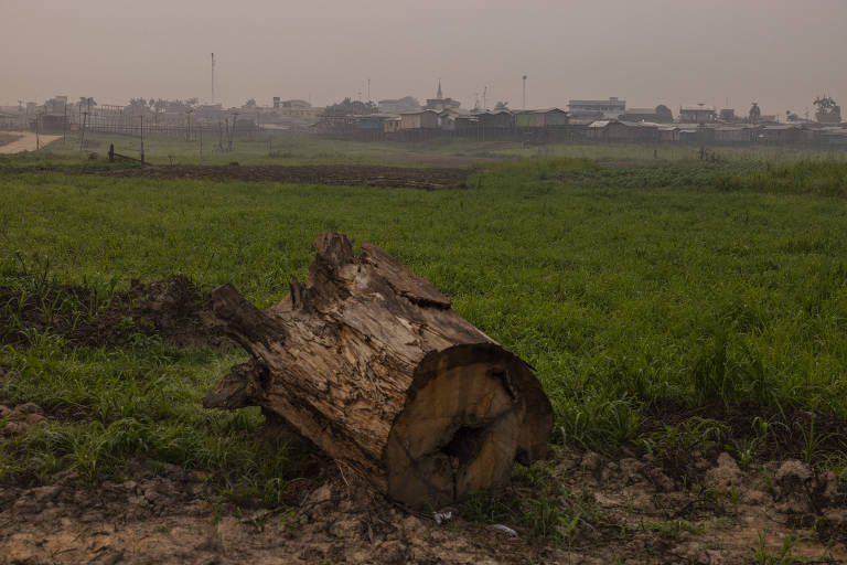 Desmatamento e queimadas estão fora de controle no sul do Amazonas