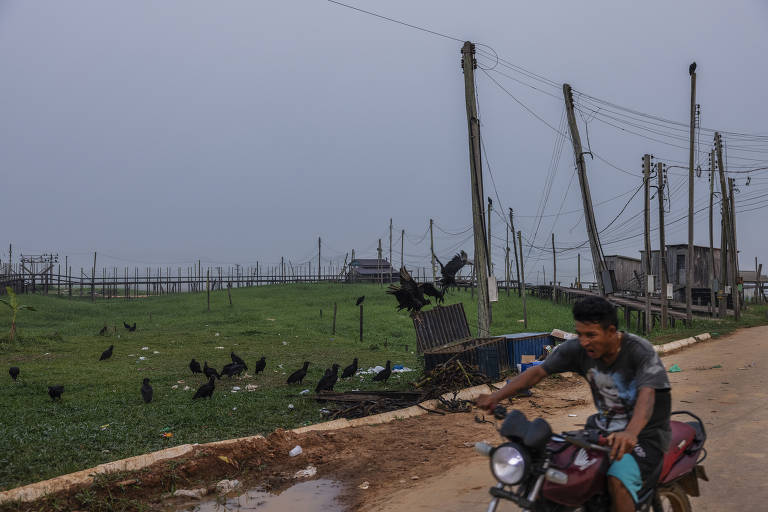 Urubus reviram lixo em uma rua de Lábrea