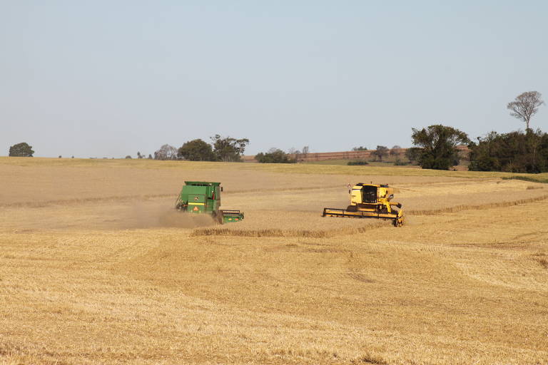 Alguns produtores, para evitar a chegada das chuvas, ao mesmo tempo em que colhiam o trigo entravam com o trator semeando a soja há algumas semanas.