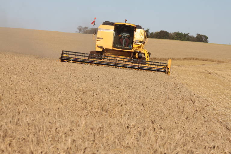 O Paraguai, que conseguiu produzir apenas 4,2 milhões de toneladas de soja no ano passado, deverá obter 12 milhões na safra que está sendo semeada