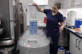 Chaya Rothschild, an andrologist at Maze Health, shows a cryo-tank used for long-term storage of sperm samples in New York, Sept. 28, 2022.  (Jackie Molloy/The New York Times)