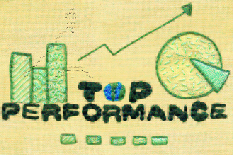 Bordado escrito Top Performance, letras verdes, desenhos de gráficos. Ilustração para a revista top of Mind 2022