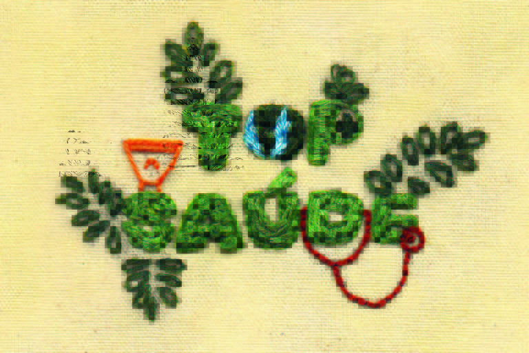Bordado escrito Top Saúde, letras verdes, desenho de um estetoscópio, uma cesta e algumas folhas. Ilustração para a revista Top of Mind 2022