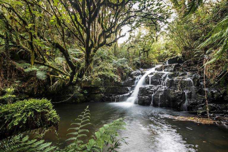 Cachoeira em reserva da Klabin, em Santa Catarina