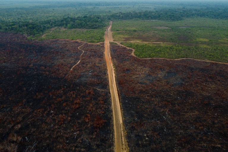 Vista aérea de região desmatada na Amazônia, nos arredores de estrada de terra 