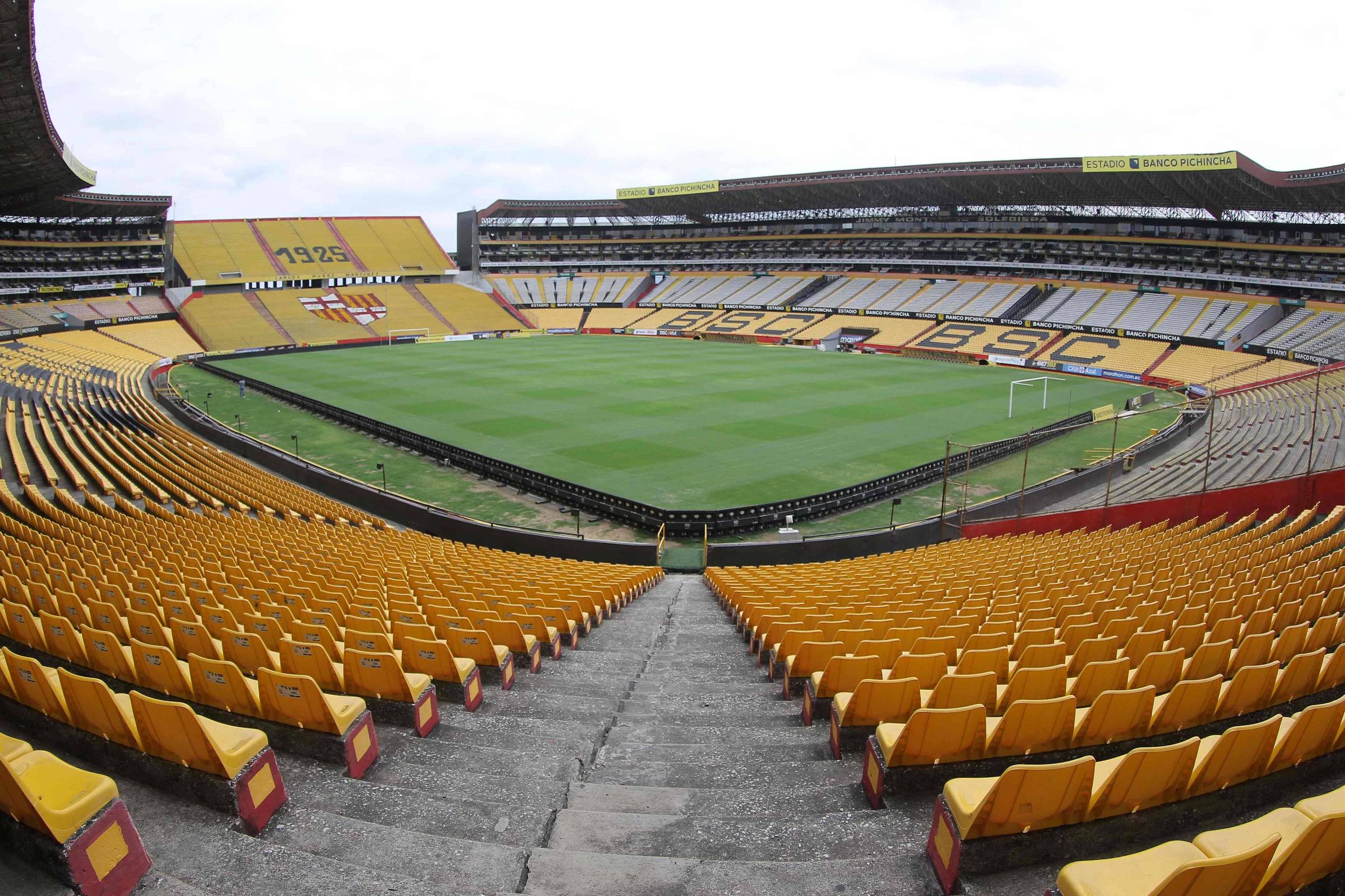 Final da Libertadores: onde assistir o jogo Flamengo x Athletico